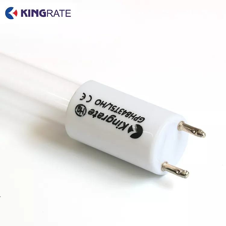 Hoogenergetische dual-band UV-lamp